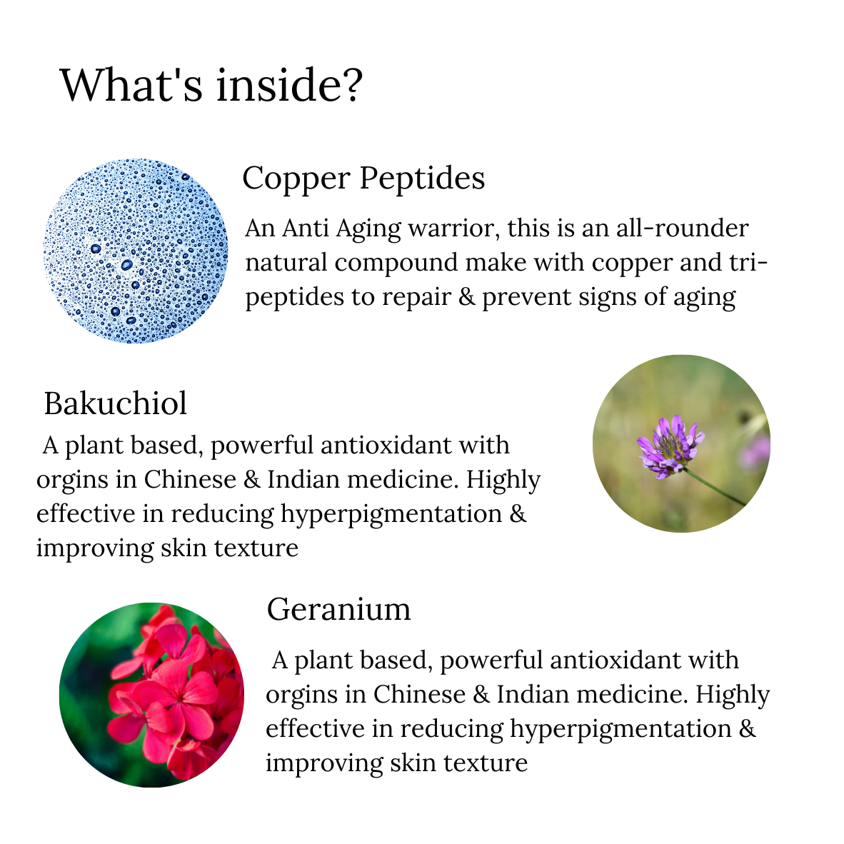 Anti Ageing Serum with Copper Peptides